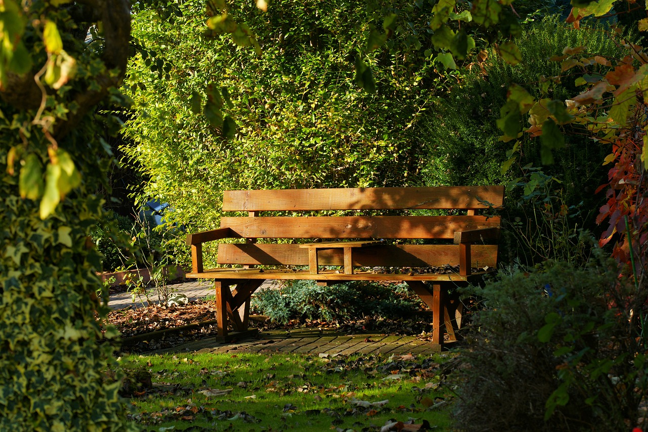 How to Build a DIY Outdoor Bench from Scratch